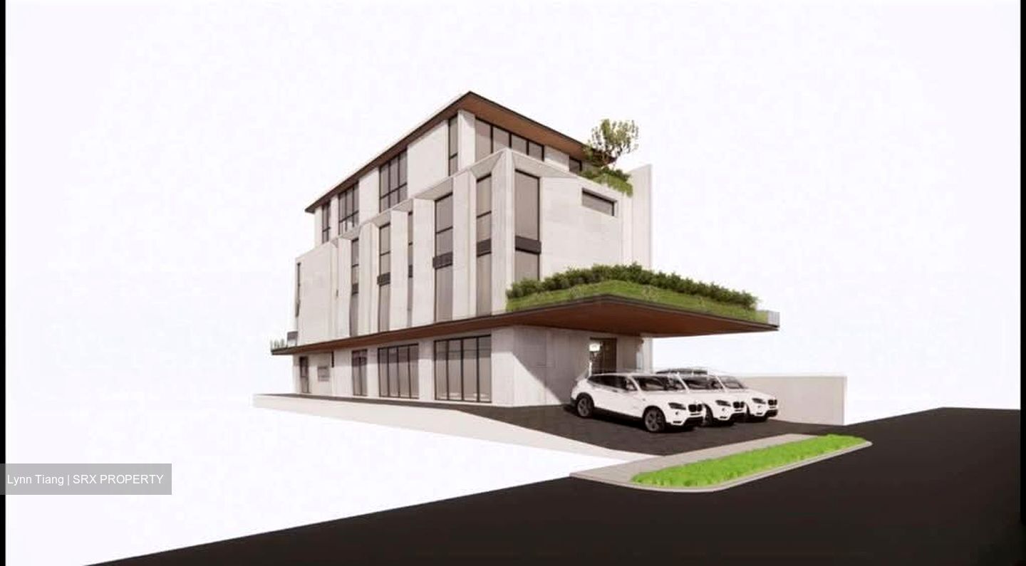 Serangoon Park (D13), Semi-Detached #550027421